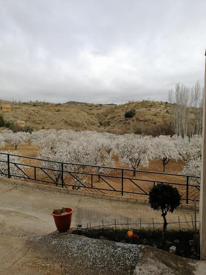 Apartamentos Rurales Camino Del Cid Кастехон-де-лас-Армас Экстерьер фото